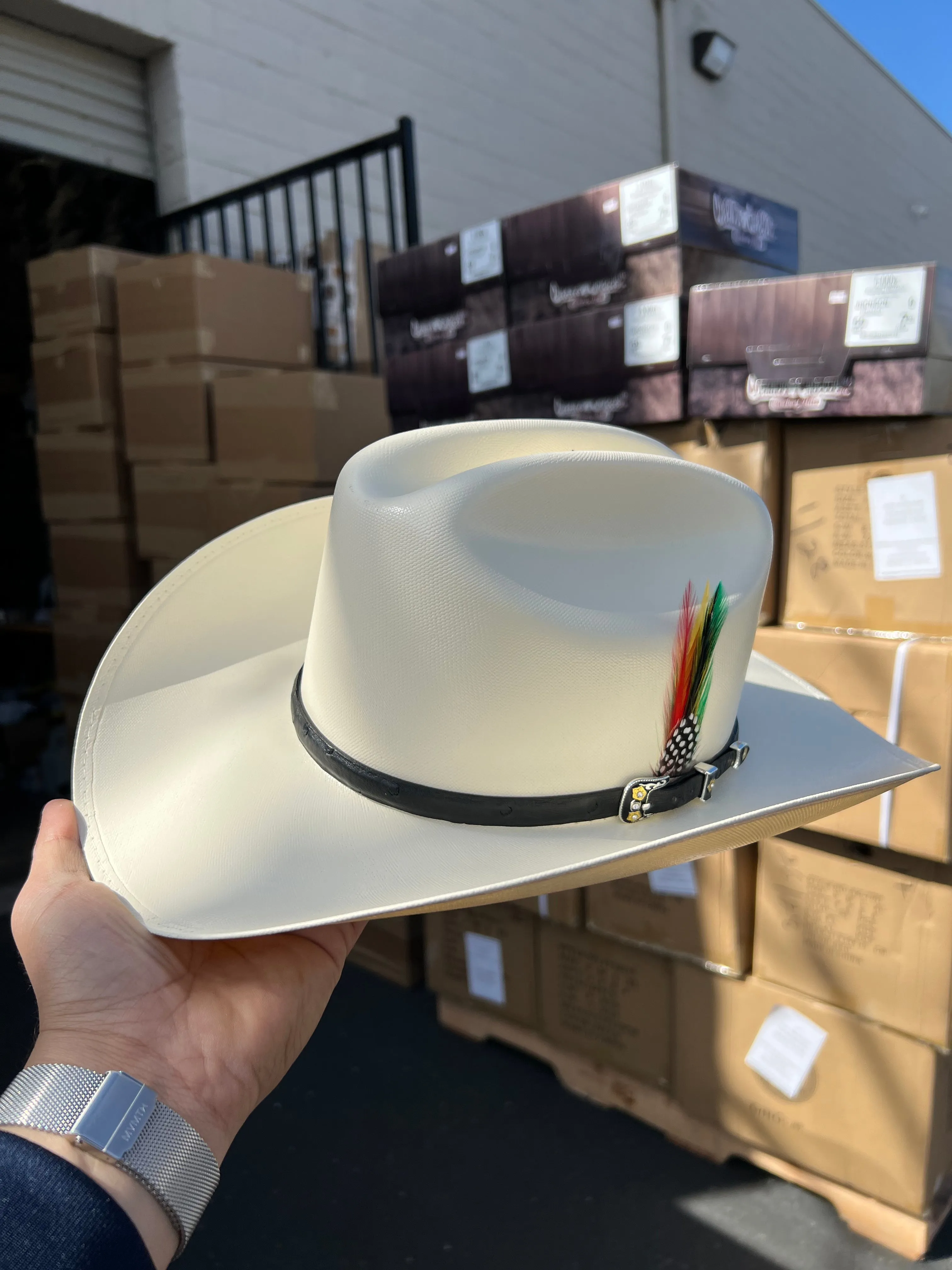 10,000x falda/brim 3.5" Avestruz Negro Sinaloa Style Hat (Exclusive)
