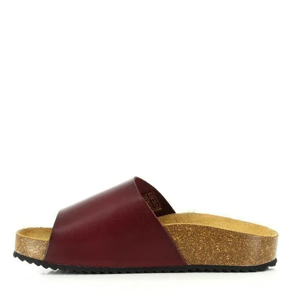Plakton 343036 Plum Slides