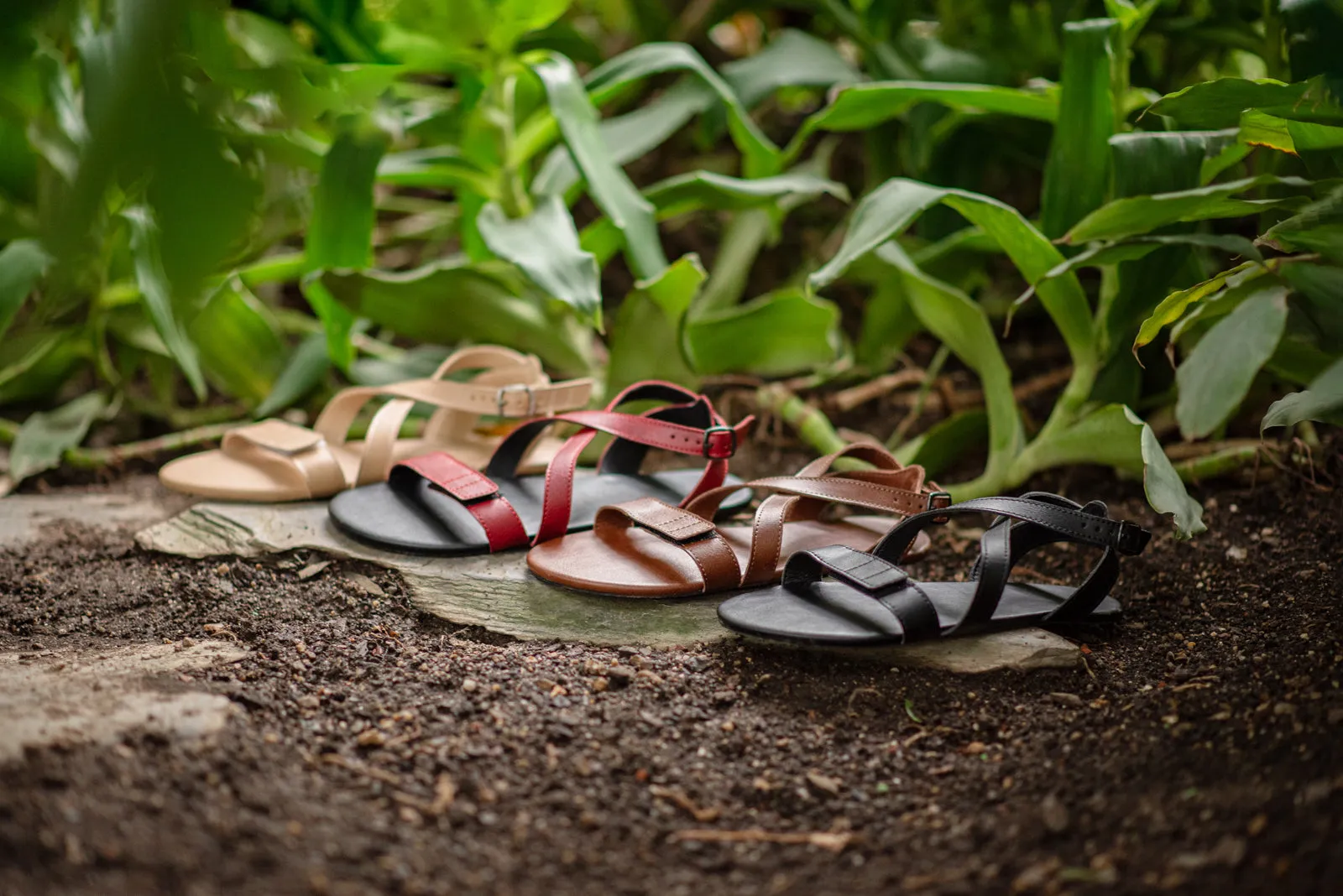 Women's Hava 2.0 barefoot brown sandals