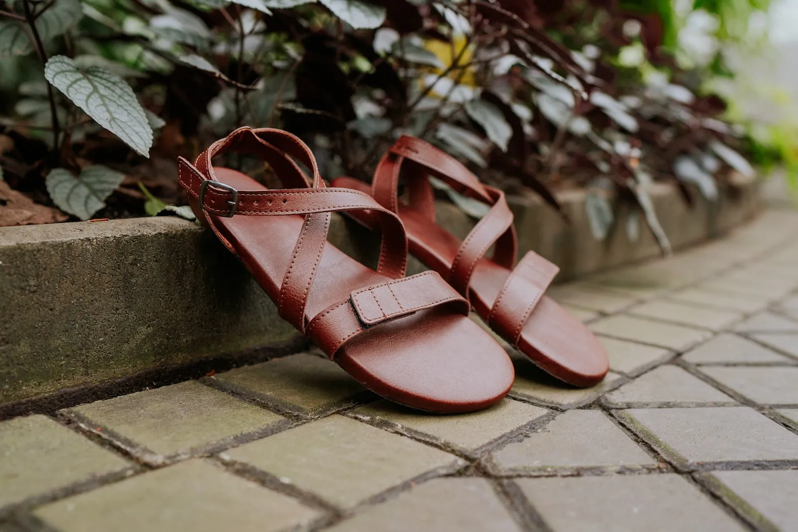 Women's Hava 2.0 barefoot brown sandals