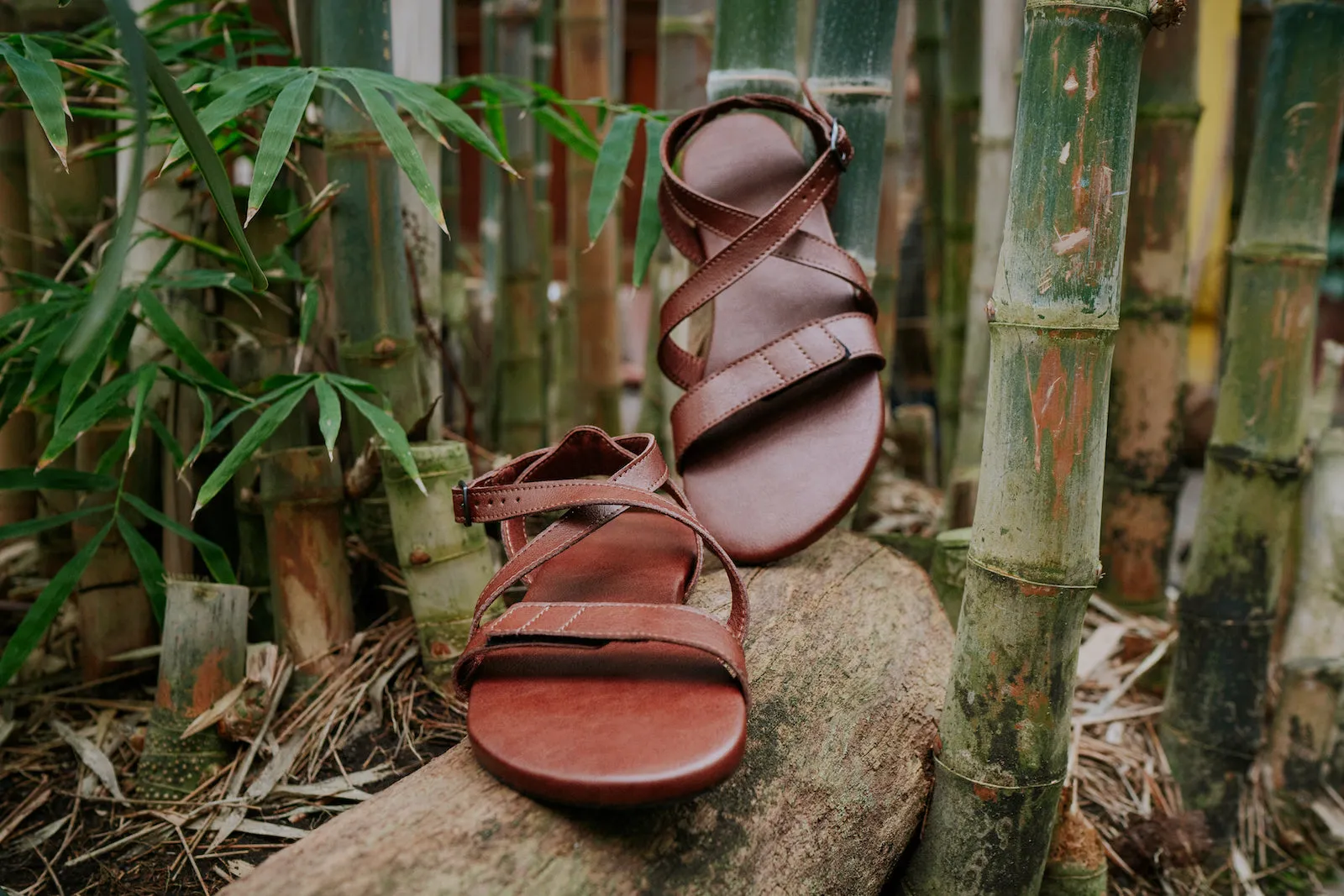 Women's Hava 2.0 barefoot brown sandals